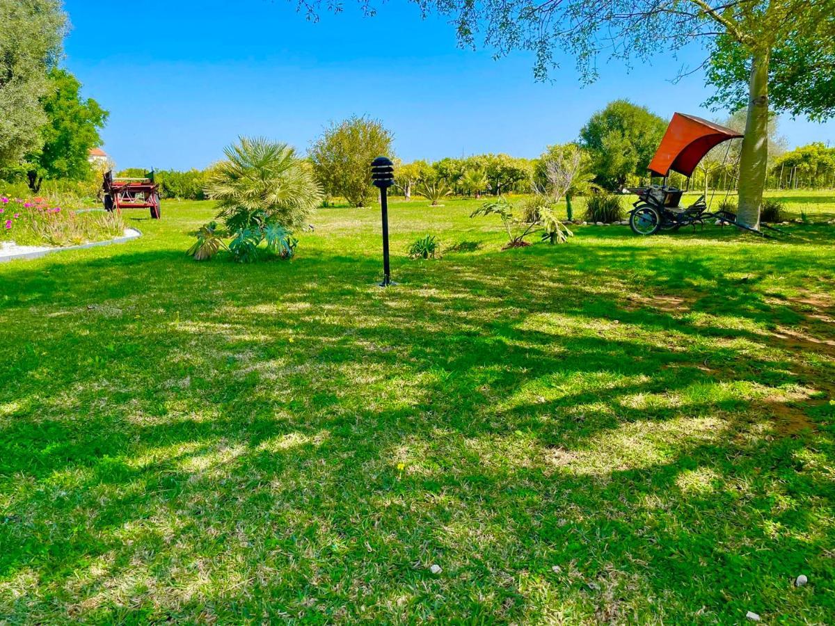 Casa Pepa Con Encanto اوندارا المظهر الخارجي الصورة